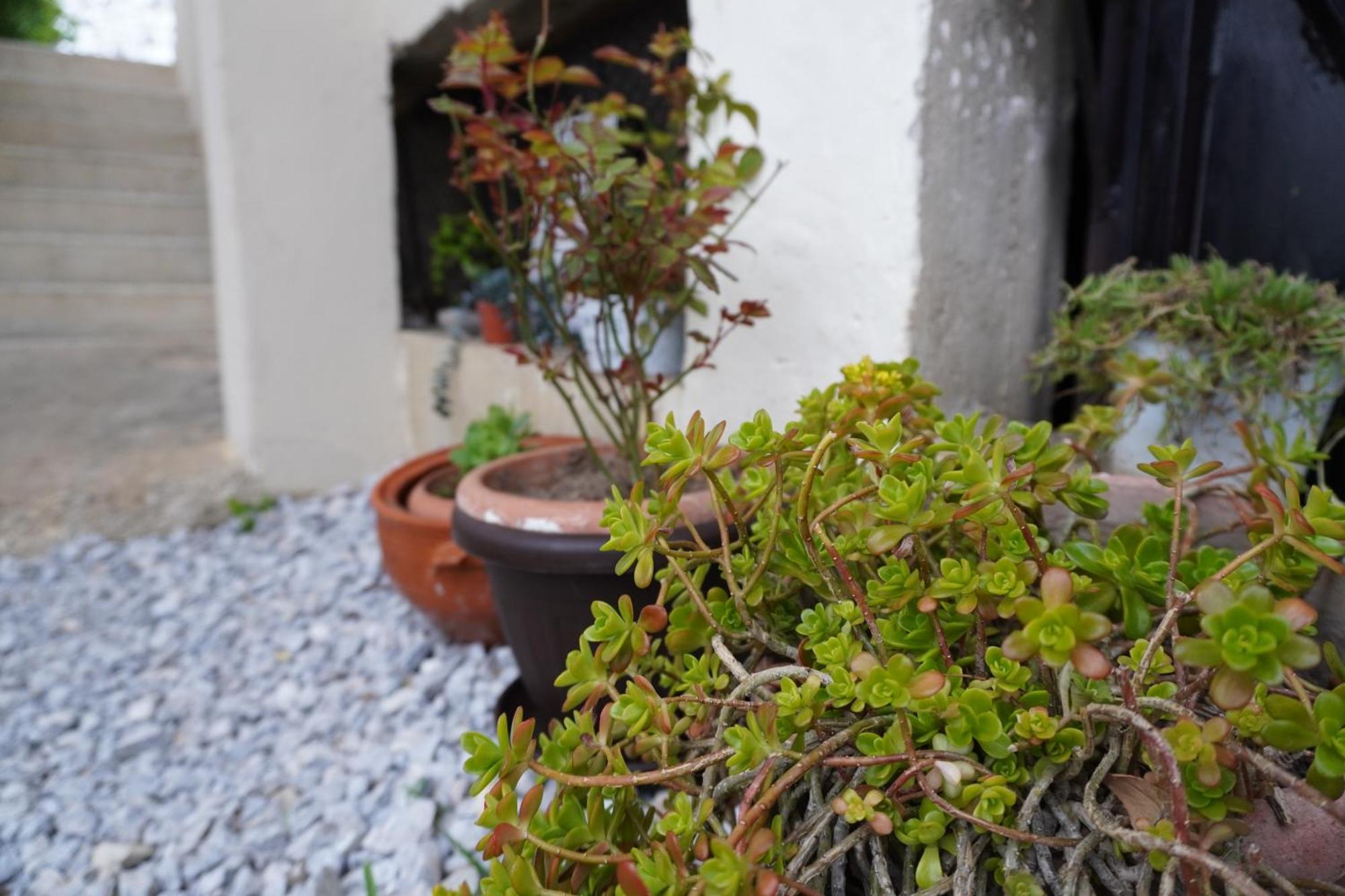 Elena'S House Polistilon Exterior foto